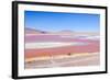 Laguna Colorada, Reserva Nacional De Fauna Andina Eduardo Avaroa, Los Lipez, Bolivia-Elzbieta Sekowska-Framed Photographic Print