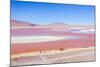 Laguna Colorada, Reserva Nacional De Fauna Andina Eduardo Avaroa, Los Lipez, Bolivia-Elzbieta Sekowska-Mounted Photographic Print