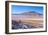 Laguna Colorada, Reserva Nacional De Fauna Andina Eduardo Avaroa, Los Lipez, Bolivia-Elzbieta Sekowska-Framed Photographic Print