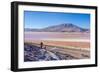 Laguna Colorada, Reserva Nacional De Fauna Andina Eduardo Avaroa, Los Lipez, Bolivia-Elzbieta Sekowska-Framed Photographic Print