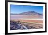 Laguna Colorada, Reserva Nacional De Fauna Andina Eduardo Avaroa, Los Lipez, Bolivia-Elzbieta Sekowska-Framed Photographic Print
