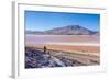 Laguna Colorada, Reserva Nacional De Fauna Andina Eduardo Avaroa, Los Lipez, Bolivia-Elzbieta Sekowska-Framed Photographic Print