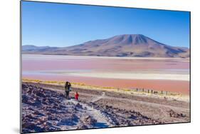 Laguna Colorada, Reserva Nacional De Fauna Andina Eduardo Avaroa, Los Lipez, Bolivia-Elzbieta Sekowska-Mounted Photographic Print