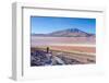 Laguna Colorada, Reserva Nacional De Fauna Andina Eduardo Avaroa, Los Lipez, Bolivia-Elzbieta Sekowska-Framed Photographic Print