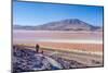 Laguna Colorada, Reserva Nacional De Fauna Andina Eduardo Avaroa, Los Lipez, Bolivia-Elzbieta Sekowska-Mounted Photographic Print