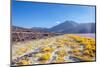 Laguna Colorada, Reserva Nacional De Fauna Andina Eduardo Avaroa, Los Lipez, Bolivia-Elzbieta Sekowska-Mounted Photographic Print