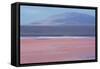 Laguna Colorada with Flamingoes and Mountain Backdrop-Alex Saberi-Framed Stretched Canvas