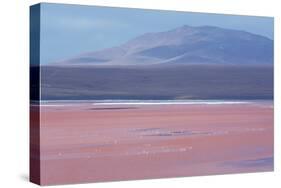 Laguna Colorada with Flamingoes and Mountain Backdrop-Alex Saberi-Stretched Canvas