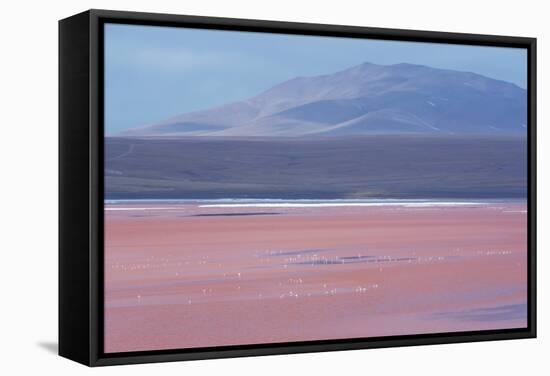 Laguna Colorada with Flamingoes and Mountain Backdrop-Alex Saberi-Framed Stretched Canvas