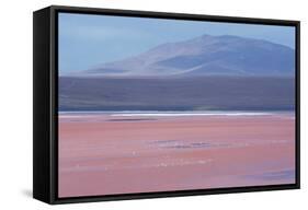 Laguna Colorada with Flamingoes and Mountain Backdrop-Alex Saberi-Framed Stretched Canvas