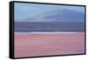 Laguna Colorada with Flamingoes and Mountain Backdrop-Alex Saberi-Framed Stretched Canvas