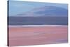 Laguna Colorada with Flamingoes and Mountain Backdrop-Alex Saberi-Stretched Canvas