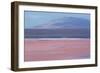 Laguna Colorada with Flamingoes and Mountain Backdrop-Alex Saberi-Framed Photographic Print