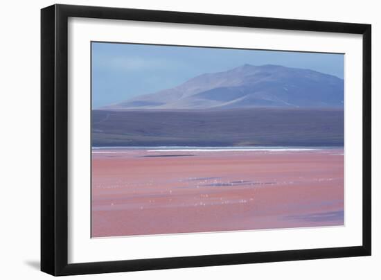 Laguna Colorada with Flamingoes and Mountain Backdrop-Alex Saberi-Framed Photographic Print