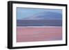 Laguna Colorada with Flamingoes and Mountain Backdrop-Alex Saberi-Framed Photographic Print