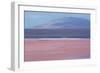 Laguna Colorada with Flamingoes and Mountain Backdrop-Alex Saberi-Framed Photographic Print