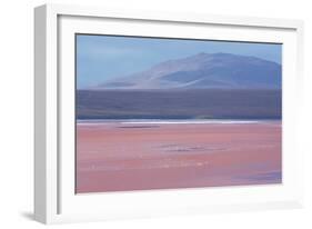 Laguna Colorada with Flamingoes and Mountain Backdrop-Alex Saberi-Framed Photographic Print