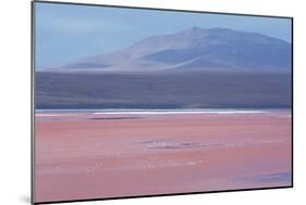 Laguna Colorada with Flamingoes and Mountain Backdrop-Alex Saberi-Mounted Photographic Print