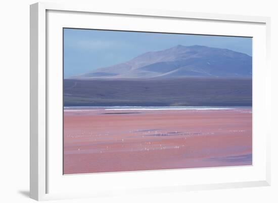 Laguna Colorada with Flamingoes and Mountain Backdrop-Alex Saberi-Framed Photographic Print