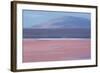 Laguna Colorada with Flamingoes and Mountain Backdrop-Alex Saberi-Framed Photographic Print