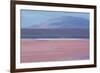 Laguna Colorada with Flamingoes and Mountain Backdrop-Alex Saberi-Framed Photographic Print