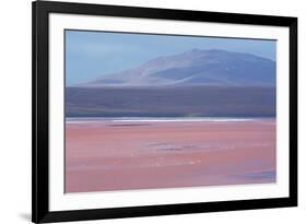 Laguna Colorada with Flamingoes and Mountain Backdrop-Alex Saberi-Framed Photographic Print