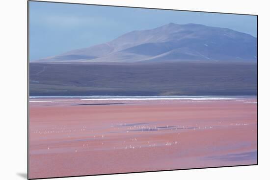 Laguna Colorada with Flamingoes and Mountain Backdrop-Alex Saberi-Mounted Photographic Print