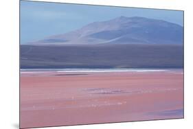 Laguna Colorada with Flamingoes and Mountain Backdrop-Alex Saberi-Mounted Photographic Print