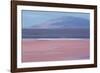 Laguna Colorada with Flamingoes and Mountain Backdrop-Alex Saberi-Framed Photographic Print