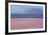 Laguna Colorada with Flamingoes and Mountain Backdrop-Alex Saberi-Framed Photographic Print