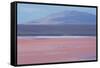 Laguna Colorada with Flamingoes and Mountain Backdrop-Alex Saberi-Framed Stretched Canvas