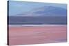 Laguna Colorada with Flamingoes and Mountain Backdrop-Alex Saberi-Stretched Canvas