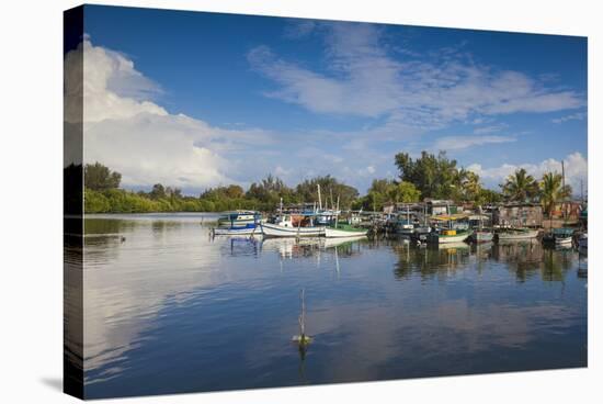 Laguna Del Cura, Punta Gorda, Cienfuegos, Cienfuegos Province, Cuba, West Indies, Caribbean-Jane Sweeney-Stretched Canvas