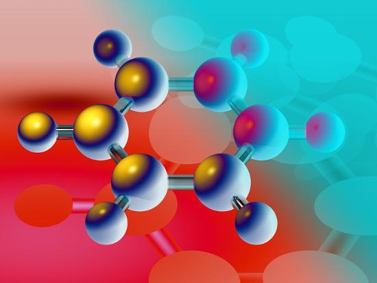 Photographic Print, , large