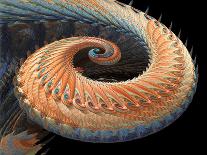 Dragon Tail Fractal-Laguna Design-Photographic Print