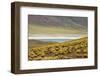 Laguna Miscanti, San Pedro de Atacama, Antofagasta Region, Chile-Keren Su-Framed Photographic Print