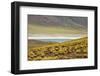 Laguna Miscanti, San Pedro de Atacama, Antofagasta Region, Chile-Keren Su-Framed Photographic Print