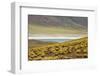 Laguna Miscanti, San Pedro de Atacama, Antofagasta Region, Chile-Keren Su-Framed Photographic Print