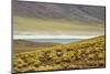 Laguna Miscanti, San Pedro de Atacama, Antofagasta Region, Chile-Keren Su-Mounted Photographic Print