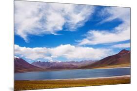 Laguna Miscanti, San Pedro de Atacama, Antofagasta Region, Chile.-Keren Su-Mounted Photographic Print