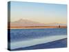 Laguna Piedra at sunset, Salar de Atacama, Antofagasta Region, Chile, South America-Karol Kozlowski-Stretched Canvas