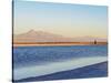 Laguna Piedra at sunset, Salar de Atacama, Antofagasta Region, Chile, South America-Karol Kozlowski-Stretched Canvas