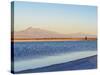 Laguna Piedra at sunset, Salar de Atacama, Antofagasta Region, Chile, South America-Karol Kozlowski-Stretched Canvas