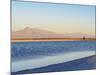 Laguna Piedra at sunset, Salar de Atacama, Antofagasta Region, Chile, South America-Karol Kozlowski-Mounted Photographic Print