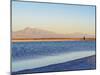 Laguna Piedra at sunset, Salar de Atacama, Antofagasta Region, Chile, South America-Karol Kozlowski-Mounted Photographic Print