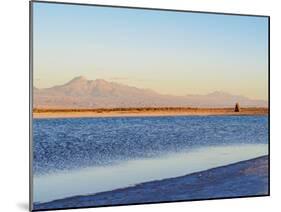 Laguna Piedra at sunset, Salar de Atacama, Antofagasta Region, Chile, South America-Karol Kozlowski-Mounted Photographic Print