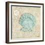 Laguna Shells I-Paul Brent-Framed Art Print