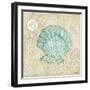 Laguna Shells I-Paul Brent-Framed Art Print