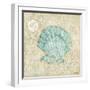 Laguna Shells I-Paul Brent-Framed Art Print