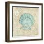 Laguna Shells I-Paul Brent-Framed Art Print